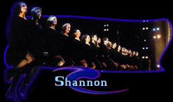 The Shannon Company